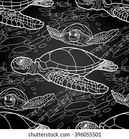 Graphic Hawksbill sea turtle drawn in line art style. Ocean vector seamless pattern