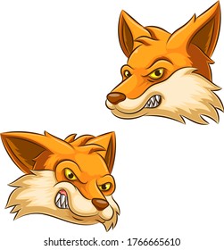 Graphic Head of an Fox Mascot Vector Illustration