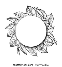Graphic heliconia leaves. Vector exotic round design. Coloring book page for adults and kids