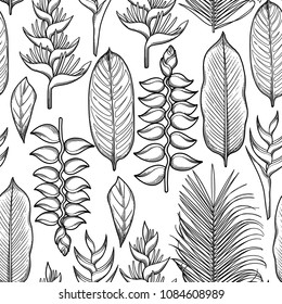 Graphic heliconia seamless pattern. Vector exotic leaves and flowers. Coloring book page for adults and kids