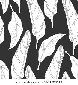 Graphic heliconia seamless pattern. Vector exotic leaves. Coloring book page for adults and kids. Wallpaper or textile design. Black background.