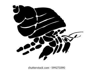 Graphic Hermit Crab, Vector