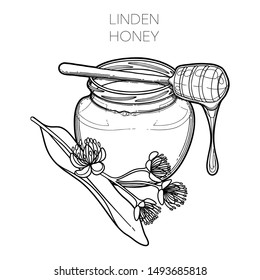 Graphic honey bottle with the dipper on it decorated with linden flowers. Isolated vector design