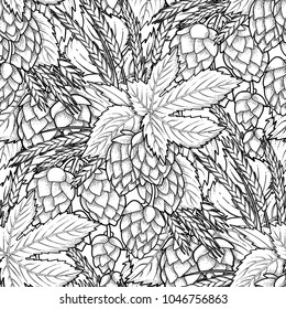 Graphic hops and malts. Vintage vector seamless pattern drawn in engraving technique. Coloring book page