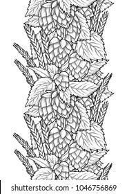 Graphic hops and malts. Vintage vector seamless border drawn in engraving technique. Coloring book page