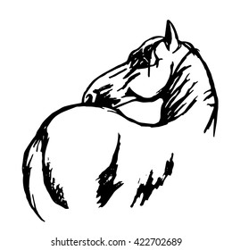 Graphic horse image