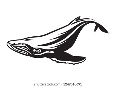 graphic Humpback whale
