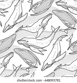 Graphic humpback whale seamless pattern. Sea creature on white background. Vector ocean mammal. Coloring book page design for adults and kids