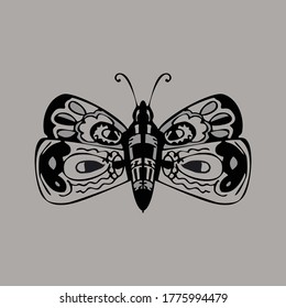 Graphic icon of butterfly, silhouette Butterfly, icons, Vector Illustrations.