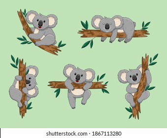 Graphic icon set of koala cartoon australia cute happy. Cute koala on a tree. 