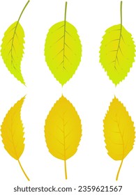 graphic illustrated Autumn leafs foliage falling graphic illustrated colours gold yellow