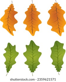 gráfico ilustrado hojas de otoño follaje caídas colores gráficos ilustrados naranja verde