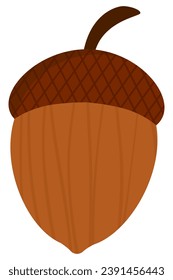 Graphic illustration of an acorn isolated on white background. 