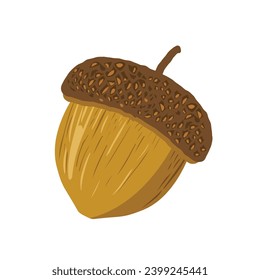 Graphic illustration of an acorn isolated on white background