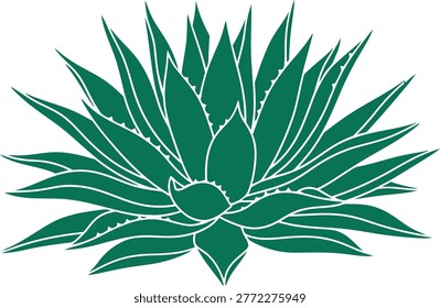 A graphic illustration of an agave plant with sharp, pointed leaves in a deep teal green color, showcasing a symmetrical and artistic botanical representation.