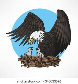 Graphic Illustration Of Bald Eagle Witn Chicks In The Nest