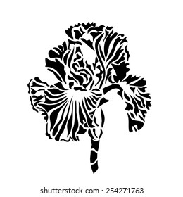 Graphic illustration of black iris