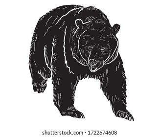 Graphic illustration of a black silhouette of a realistic grizzly bear in isolate on a white background. Vector illustration.
