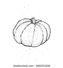 Graphic illustration of Broccoli. Vector illustration. Manual graphics.