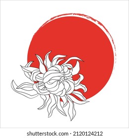 Graphic illustration of chrysanthemum  and red sun on the  white background. Decorative elements for posters, postcards, invitations, t-shirt. Stock vector illustration.