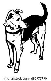 Graphic illustration dog, watchdog, vector