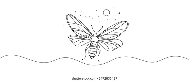 graphic illustration of a firefly beetle, bug in one line. line drawing