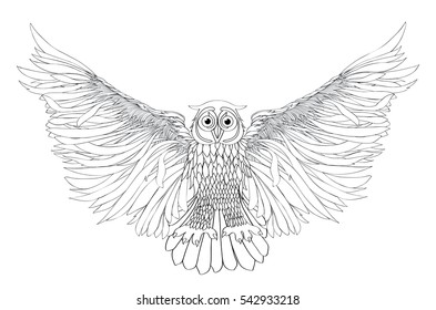 Graphic illustration of flying owl. Vector illustration. Black and white style. Hand drawn.