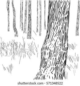 Graphic illustration of a forest opening, black and white composition