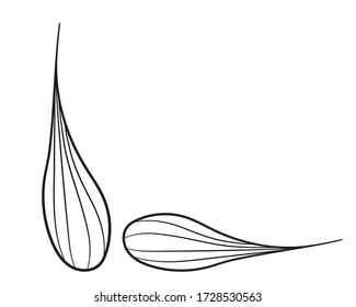 Grafische Abbildung mit Weizenkörnern in Isolat auf weißem Hintergrund. Thema Kulturpflanzen, Landwirtschaft oder Backwaren. Vector-Abbildung.