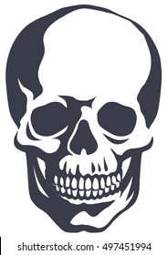 graphic illustration of the human skull