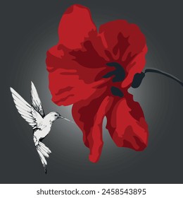 Graphic illustration. Hummingbirds and red poppy nectar.