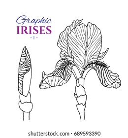 Graphic illustration of irises from different angles, set part 1. Hand drawn flowers and buds in line art style. Beautiful blossoms for romantic design of wedding invitation, advertising, booklets.