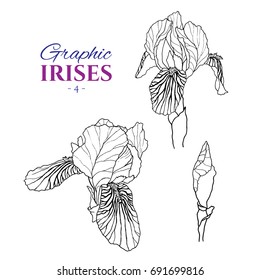 Graphic illustration of irises from different angles, set part 4. Hand drawn flowers and buds in line art style. Beautiful blossoms for romantic design of wedding invitation, advertising, booklets.