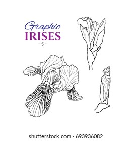 Graphic illustration of irises from different angles, set part 5. Hand drawn flowers and buds in line art style. Beautiful blossoms for romantic design of wedding invitation, advertising, booklets.