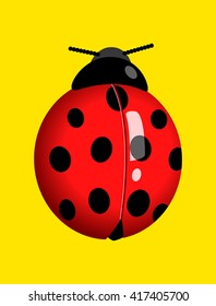 Graphic illustration of a lady bug on yellow background