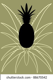 Graphic illustration of PINEAPPLE and leafs. Spike. Ananas. Vector.