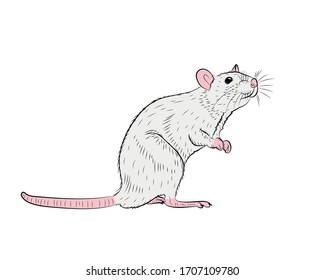Mouse Etching の画像 写真素材 ベクター画像 Shutterstock