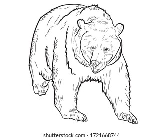 887 Charging Bear Images, Stock Photos & Vectors | Shutterstock