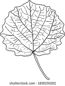 ilustración gráfica de una hoja de árbol redondeada en colores blanco y negro
