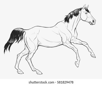 Graphic illustration of a running Trakehner, design element for equestrian club. Vector horse with black mane isolated on a light gray background. Image of a free mare, preparing to jump