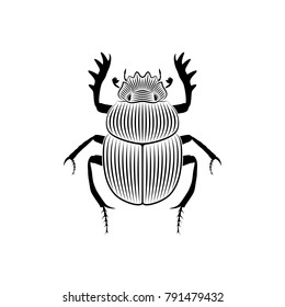 Graphic illustration of scarab engraved on white background