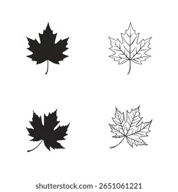 graphic illustration showcases maple leaf elements in both silhouette and line art styles against a white backdrop. Ideal for autumn and nature themes