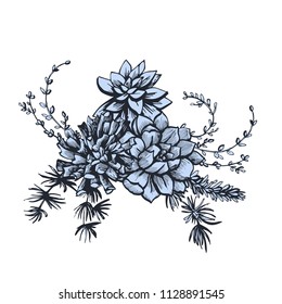Graphic illustration with succulents