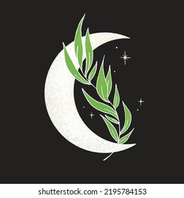 Graphic illustration, Texture art leaf in the moon Drawings of stars for clothing, etc. Vector illustration