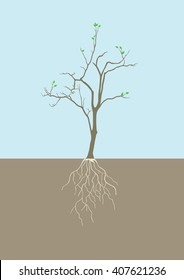 Graphic illustration of tree with root