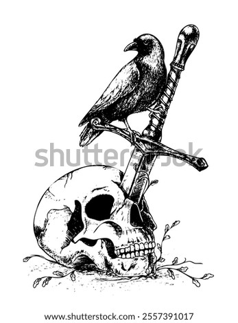 Graphic illustration in vector format. Skull with sword and raven. Application: tattoos, t-shirt design, rock attributes, etc.