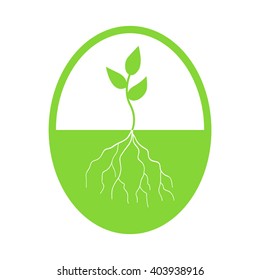 Graphic illustration of young tree with root