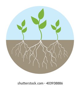 Graphic illustration of young trees with root