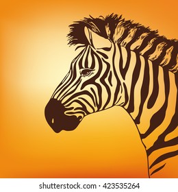 graphic illustration of zebra head