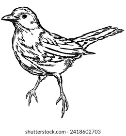 graphic image of a bird